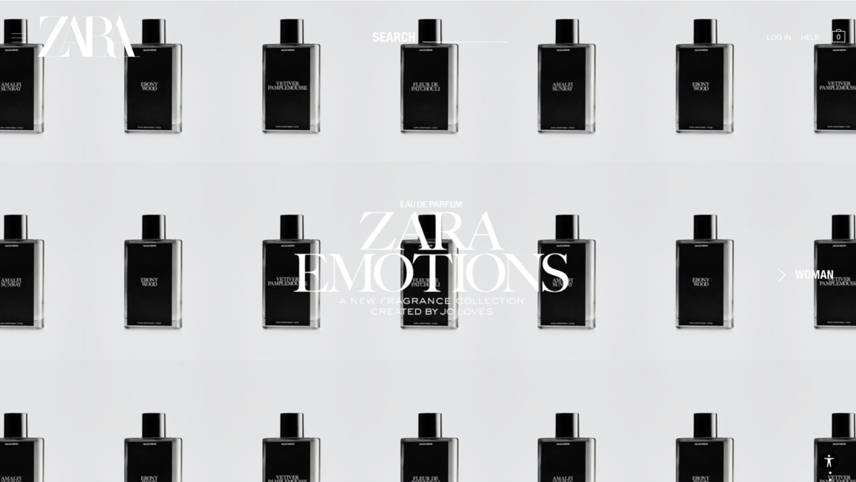 Screenshot of the masthead of Zara's website