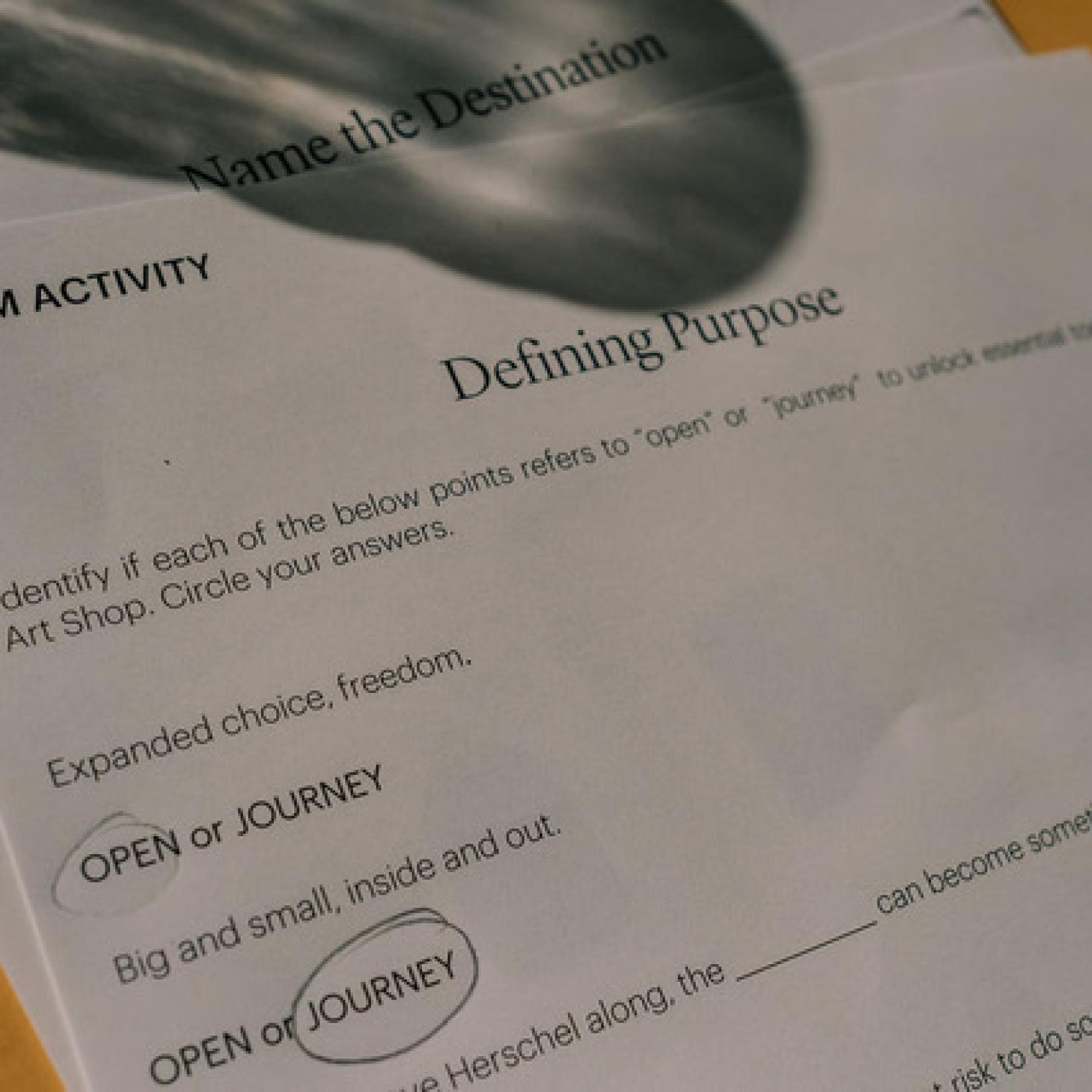 Up-close shot of a piece of a questionnaire for 'defining purpose'.